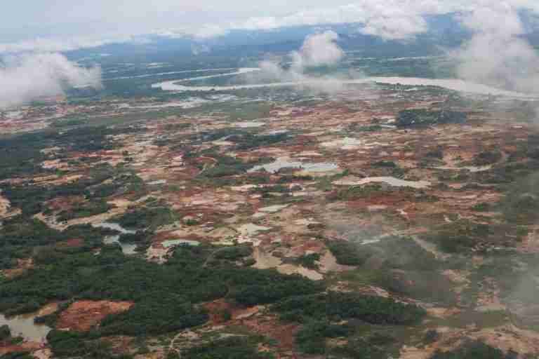 Por emergencia climática, Antioquia reforestará 900 mil hectáreas en el Bajo Cauca