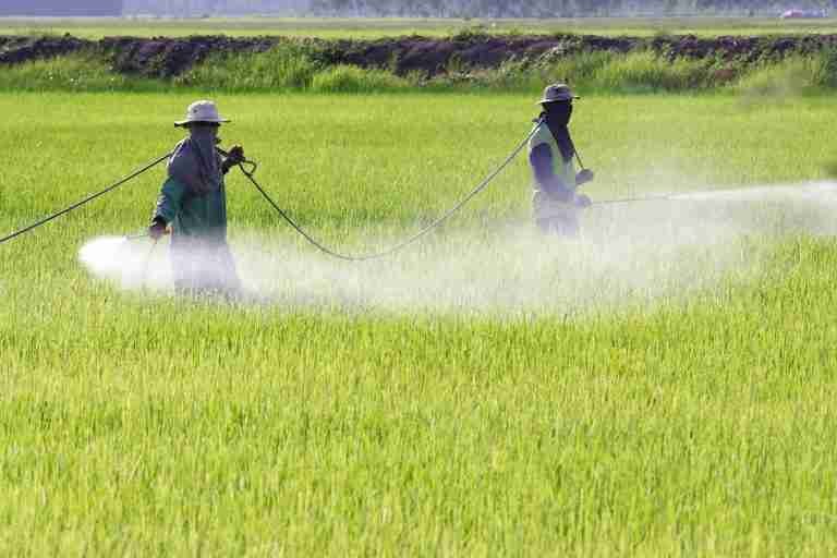 Tumbado proyecto que prohibía el uso de Glifosato
