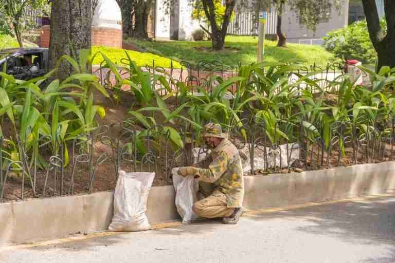 Jardín Botánico retoma mantenimiento de zonas verdes de Medellín