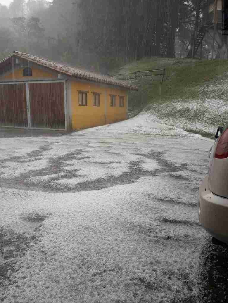 Lluvias con granizo incluido tumbaron un árbol en La Estrella