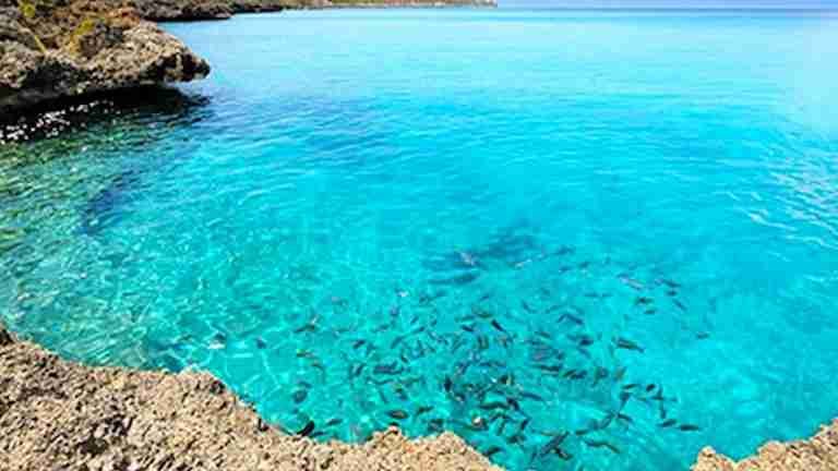 Turista murió por ataque de tiburón en San Andrés