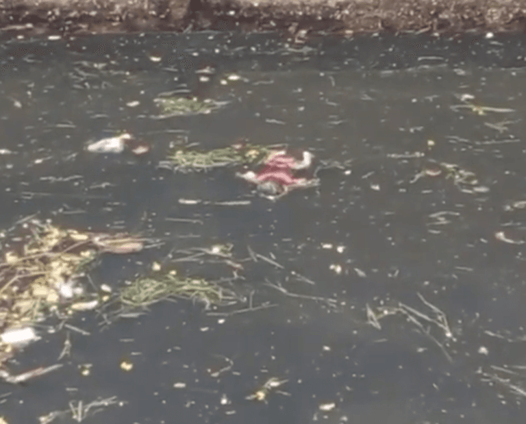 Fue encontrado el cuerpo de un bebé en un canal de aguas de Cali