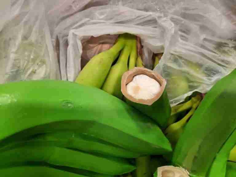 Incautan 50 cajas de bananos con 700 kilos de cocaína
