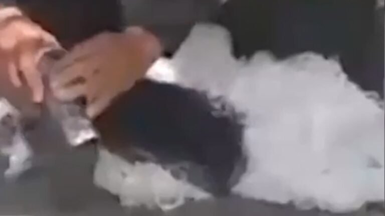 Pretendía evadir el control de las autoridades transportando droga y armas en una nevera de icopor