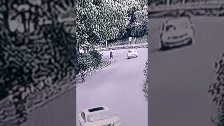Captan robo de bicicleta en la Avenida Las Palmas