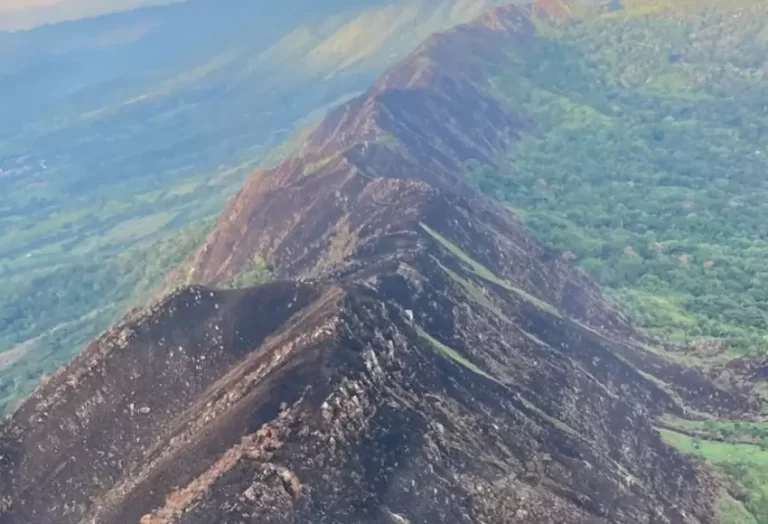 Tres días duró incendio forestal en Melgar, Tolima