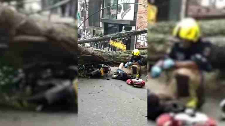 A un motociclista le cayó un árbol encima