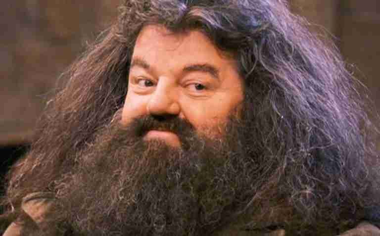 Hasta siempre Hagrid