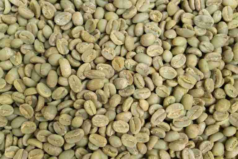 La producción colombiana de café cayó el 10% en lo que va del año