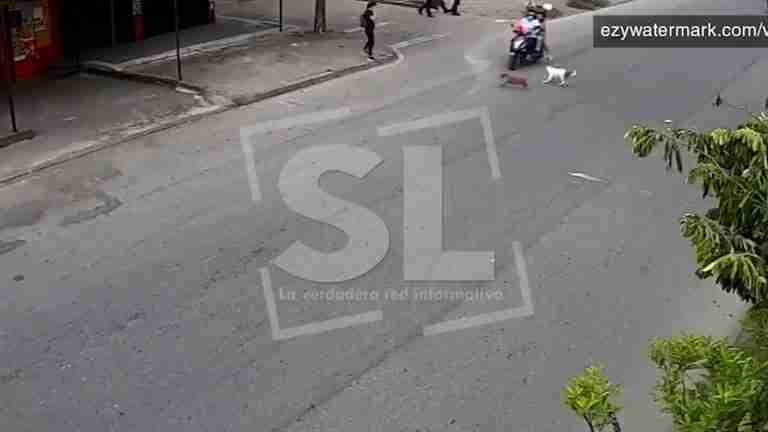 ¡Descarados! Arriesgaron a menor y golpearon a perrito atropellado