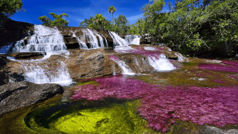 Caño cristales se cierra a turistas