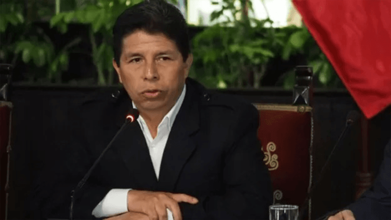 Los delitos de Pedro Castillo