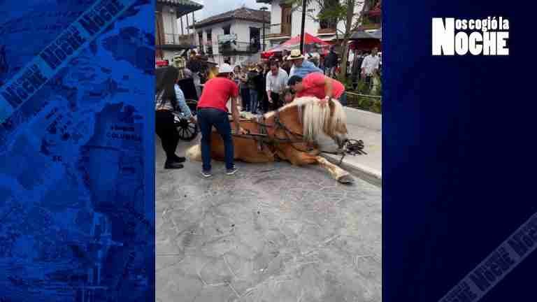 Indignante, maltrato animal en las fiestas de El Retiro