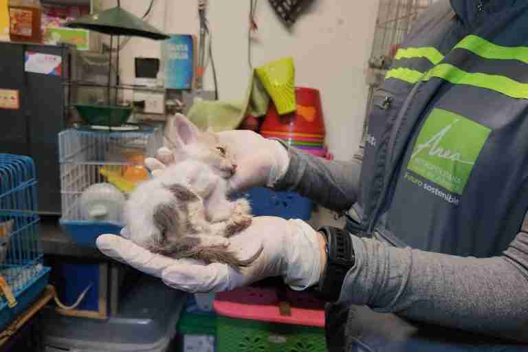 20 animales en condición de maltrato son rescatados en Medellín