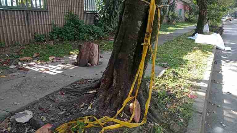 En medio de una riña, le amputaron las manos con un machete a un habitante de calle