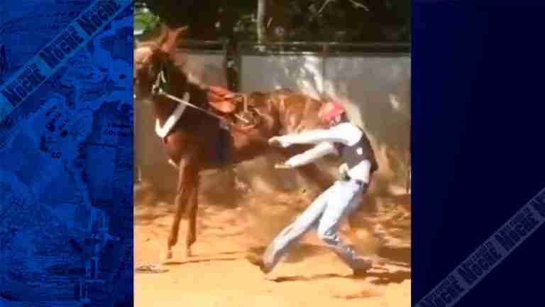 ¿Justicia Divina? Un caballo le propinó tremenda patada a jinete que lo golpeaba