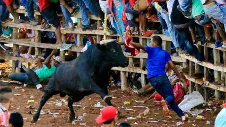 Para evitar maltrato animal se cancelan corralejas en dos municipios