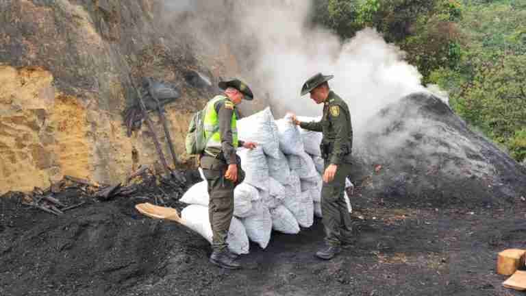 Ocho personas capturadas por quemar árboles en Medellín