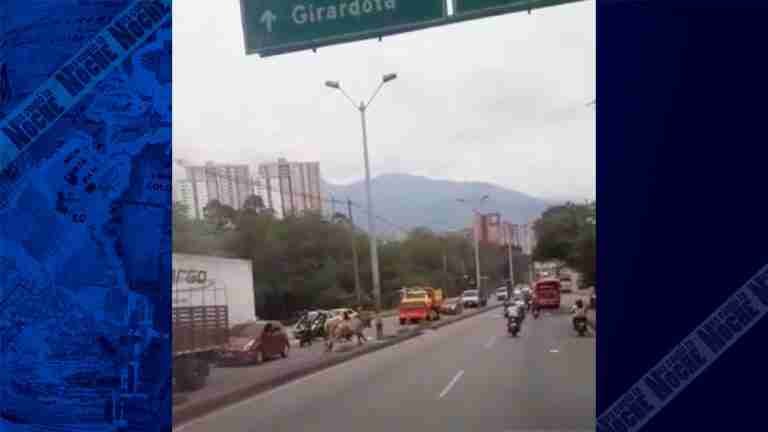 Imagen del día: ternero golpeó a un motociclista en la autopista