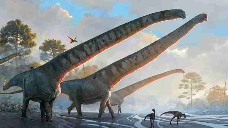 Estudio confirma cuál fue el dinosaurio con el cuello más largo