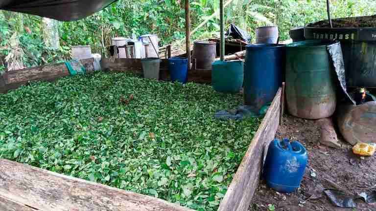 Ejército destruyó dos laboratorios de coca del Clan del Golfo en operativo en límites de Antioquia y Chocó