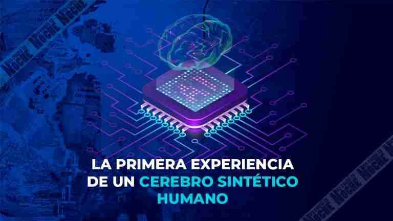 La primera experiencia de un cerebro sintético humano