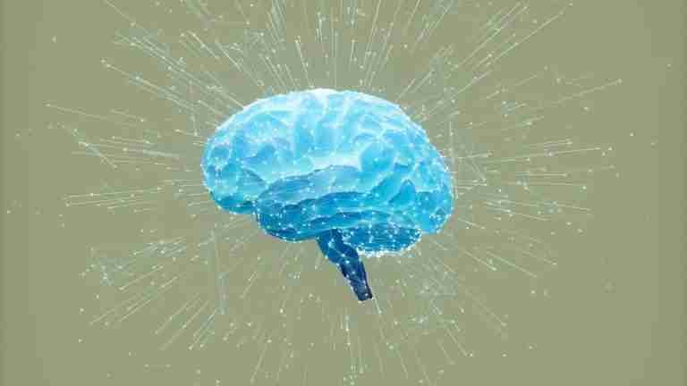 ¿Qué sabe de la semana del cerebro?
