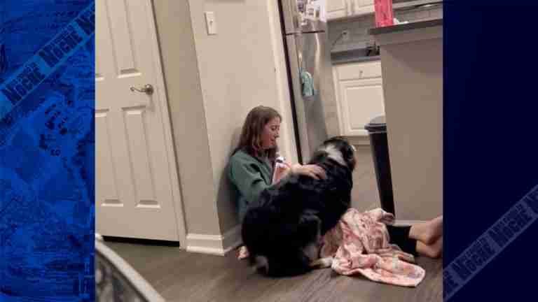 ´Bailey´ el perro que auxilió a su dueña mientras sufría un ataque de taquicardia
