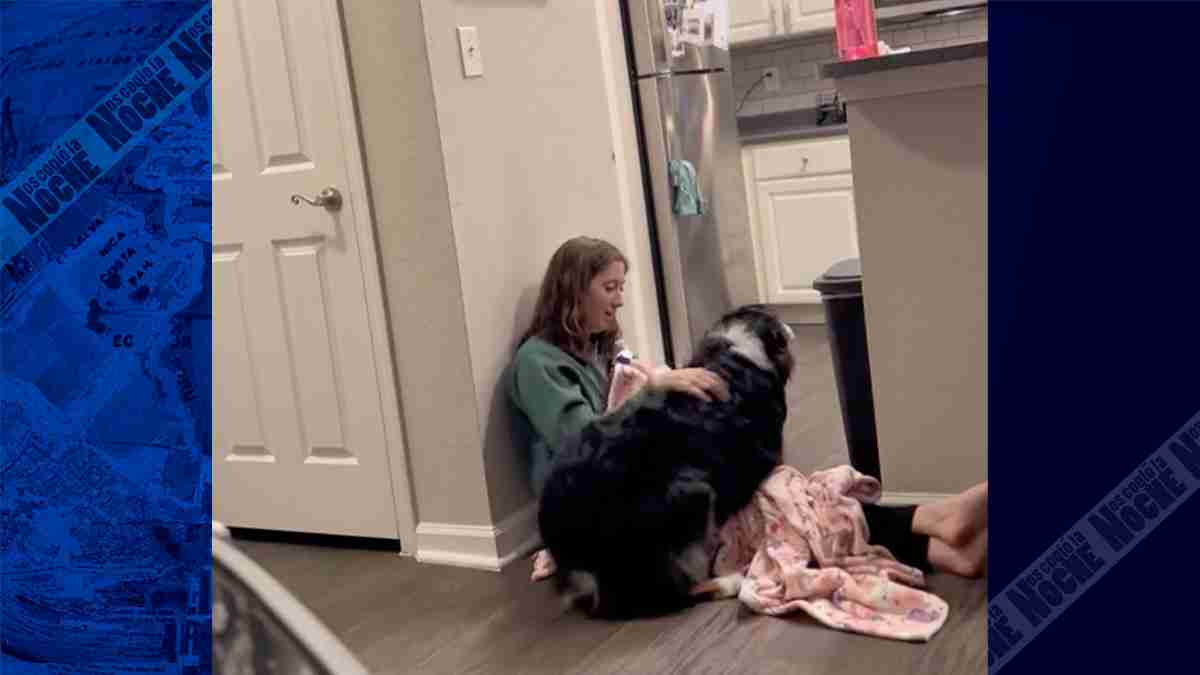 ´Bailey´ el perro que auxilió a su dueña mientras sufría un ataque de taquicardia