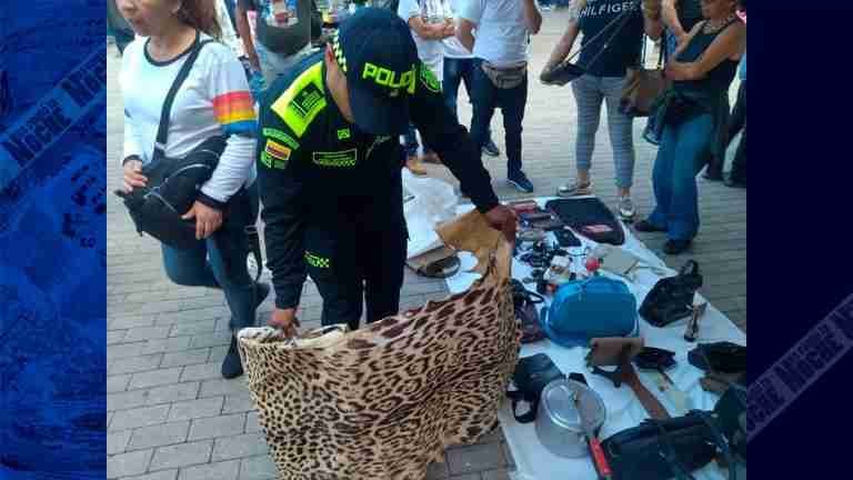 En pleno centro de Medellín estaban comercializando piel de jaguar