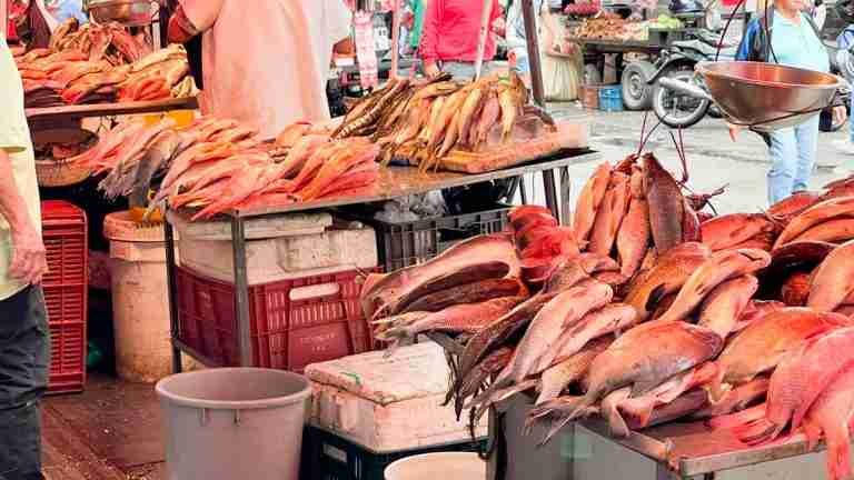 Recomendaciones para el consumo de pescado durante Semana Santa