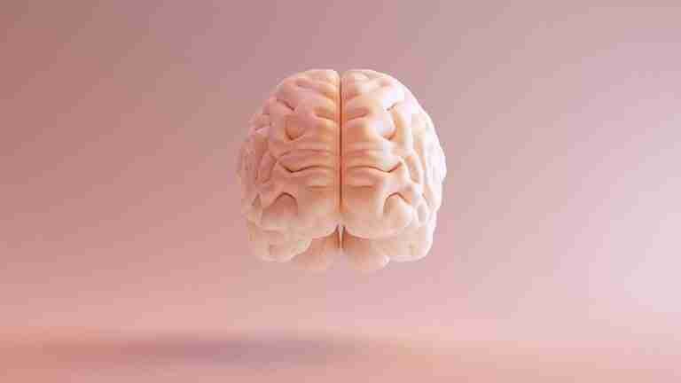 ¿Por qué hay que ejercitar el cerebro? 5 consejos para mantener un buen desarrollo cognitivo