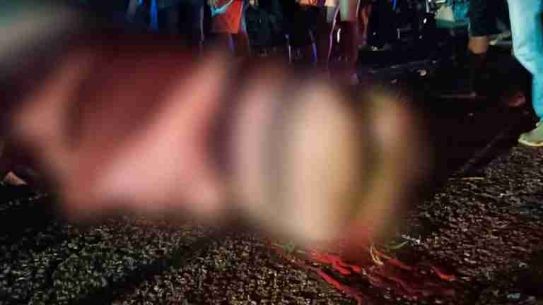 Un hipopótamo murió en accidente de tránsito en Puerto Triunfo