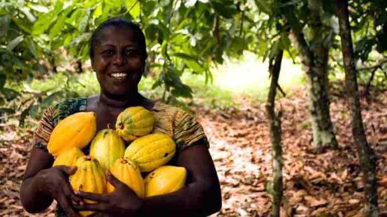 Sumérgete en el mundo del chocolate a través de la fábrica de cacao en República Dominicana