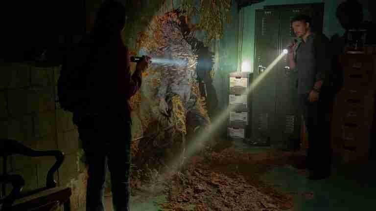 Por primera vez, un hongo letal como el de la serie “The Last of US” infectó a un humano