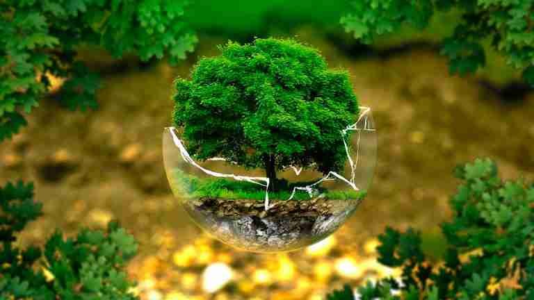 La importancia del Día de la Tierra en la lucha contra el cambio climático