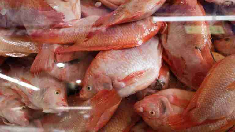 Así están los aumentos en los precios del pescado esta Semana Santa