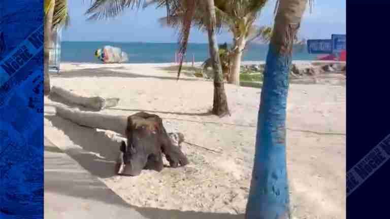 Mala racha turística vivió San Andrés en plena Semana Santa
