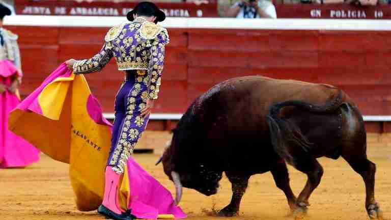 ¿Se hunde proyecto de prohibición de las corridas de toros?