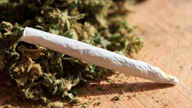 Cannabis de uso recreativo ad portas de ser una realidad