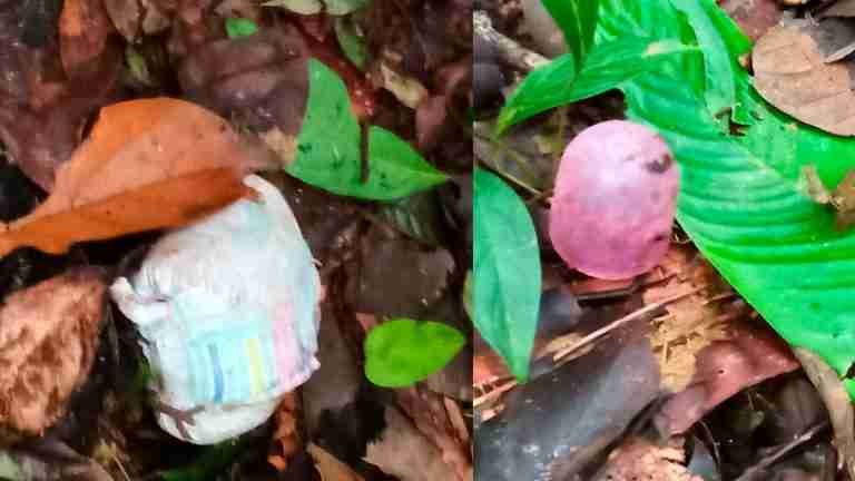 Nuevas pistas en la búsqueda de los menores desaparecidos en la selva
