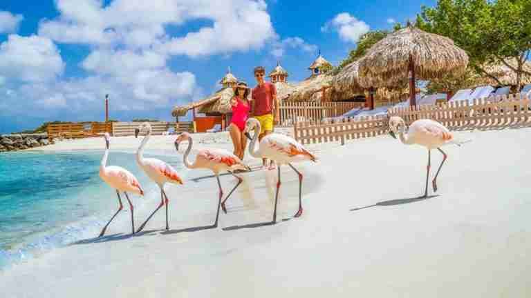 Descubre Aruba, el paraíso caribeño que lo tiene todo para unas vacaciones perfectas