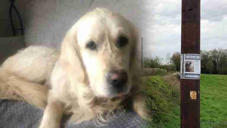 Fue adoptado, pero recorrió 65 km para reencontrarse con la familia que lo abandonó
