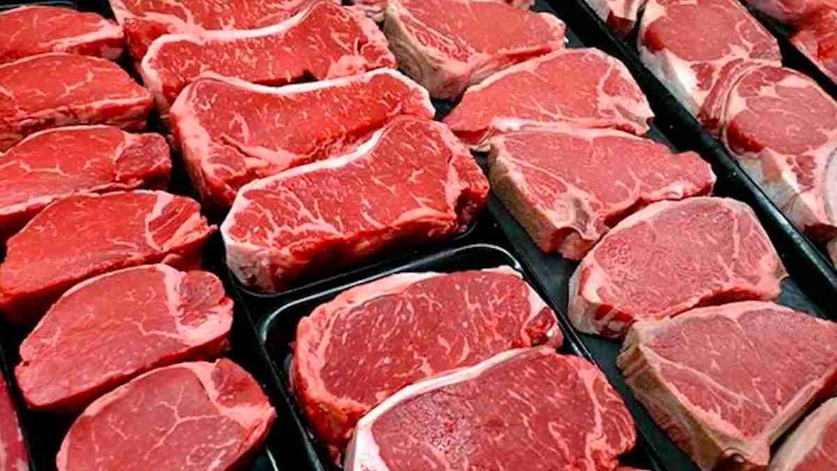 filetes de carne