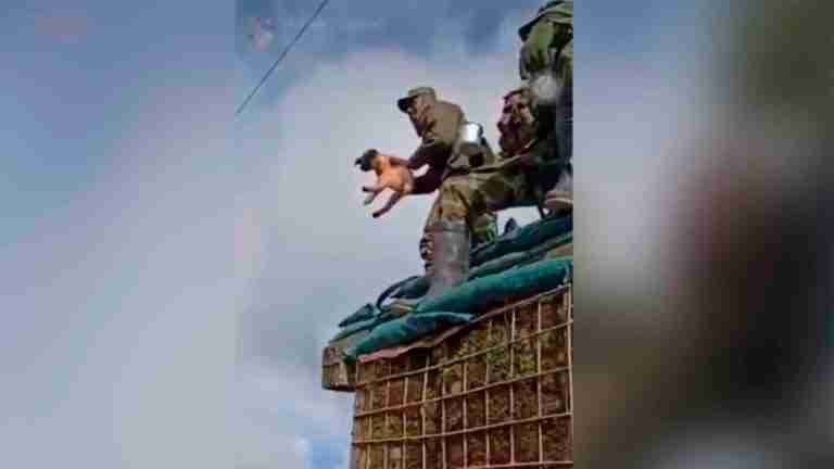 Fiscalía pide cárcel para soldado que grabó cómo mataban a un perro