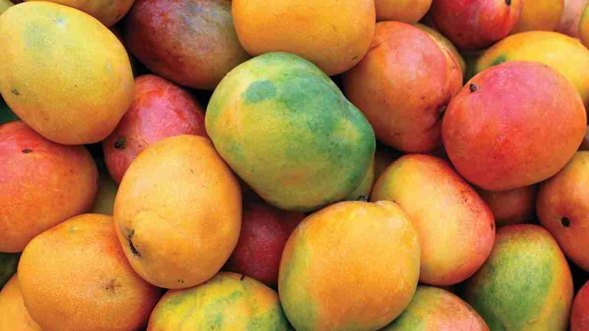 mangos