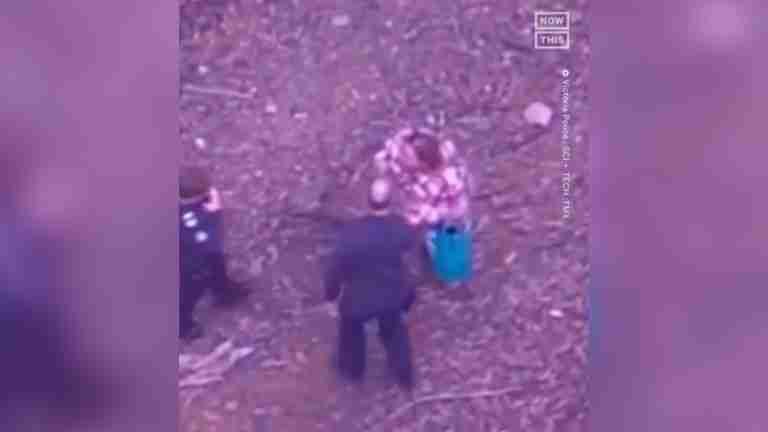 Mujer sobrevive cinco días en la selva australiana con vino y dulces como único sustento