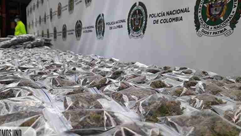 Estos son los alucinógenos mas decomisados por las autoridades en Medellín
