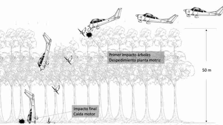 ¿Cómo pudieron sobrevivir cuatro niños a un accidente aéreo en el Guaviare?