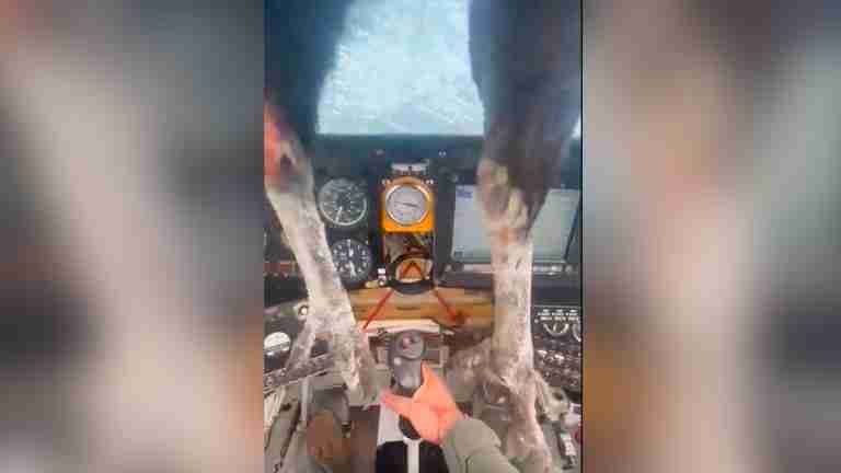 Ave se queda atascada en un avión en pleno vuelo